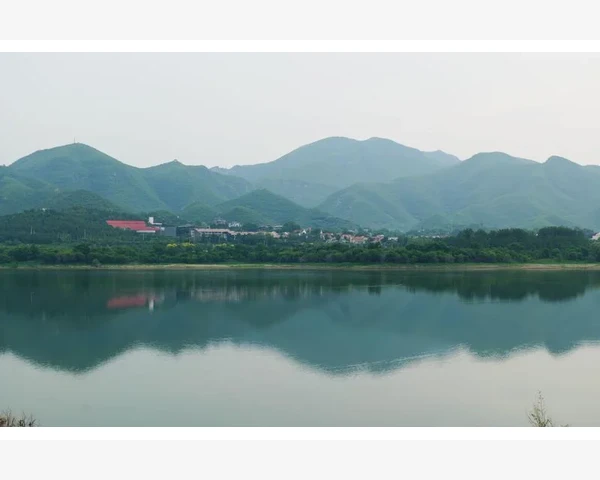喝饮料能否有效化痰？中医师详解解决痰湿问题的有效方法