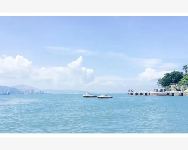中医养生：胃炎中药方剂的奇妙效果及食疗智慧