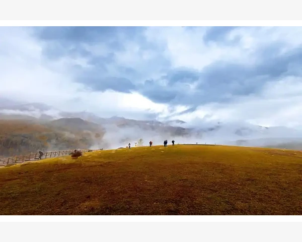 健脾胃的咸粥：简单做法，功效双全