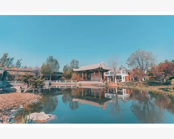拔罐祛湿，多种方法轻松搞定